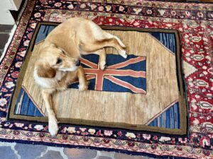 Eight month old Honey rests on a Union Flag hooked rug from Canada