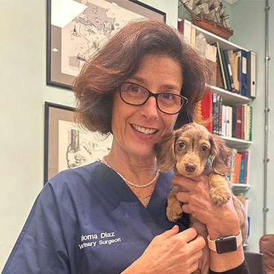 Paloma Diaz Carretero